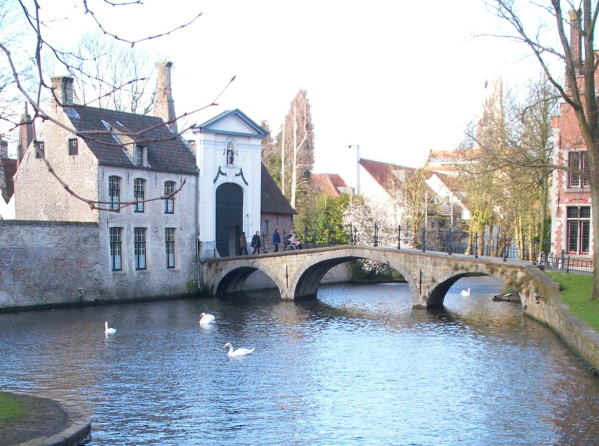 コブハクチョウベルギーブルージュ