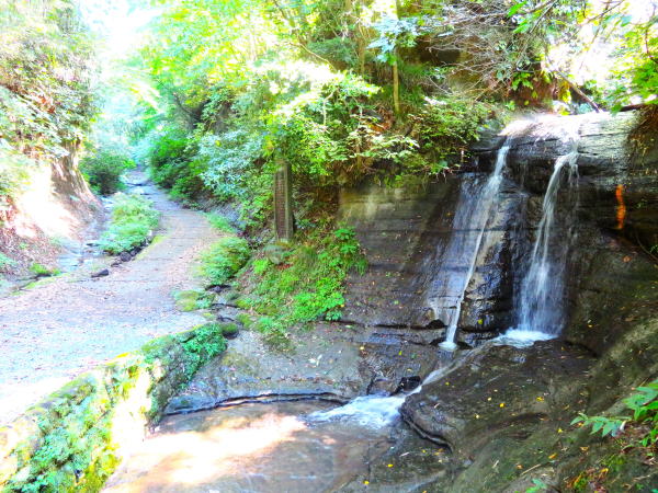 ����ސؒʂ̑�