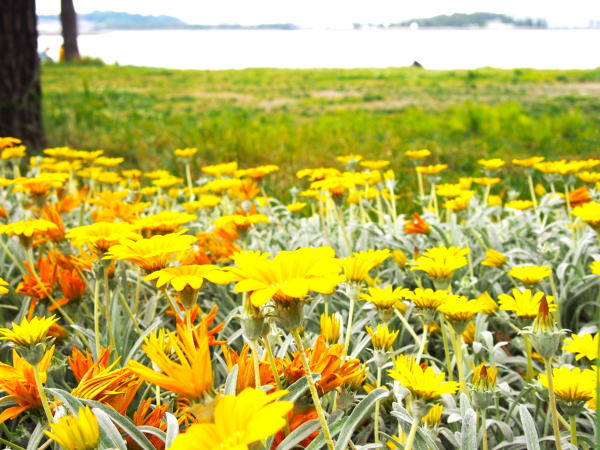 �K�U�j�A�ԋ��򔪌i