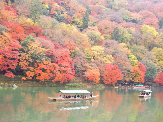 京都嵐山紅葉画像