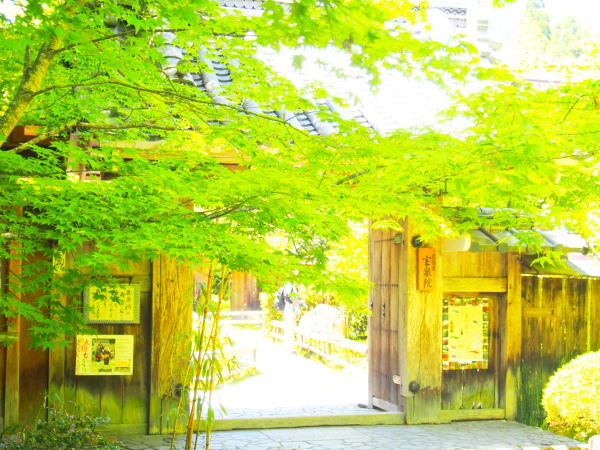 ���s���@