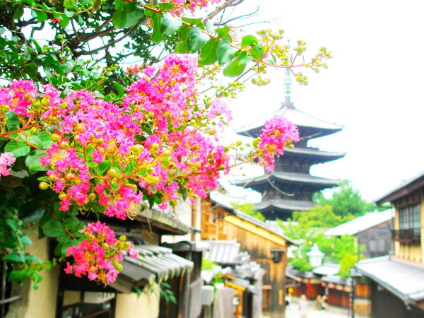 ����̓��T���X�x����