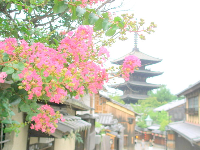 八坂の塔とサルスベリ花画像