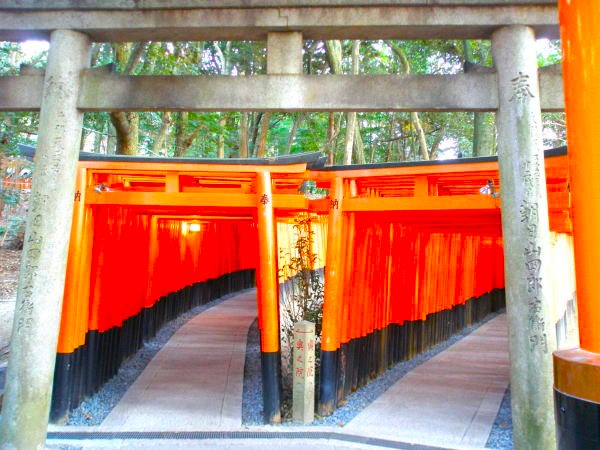 ������ג����摜